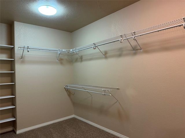 638 Trestle Creek Dr, Saint Regis, MT 59866 - spacious closet with dark carpet