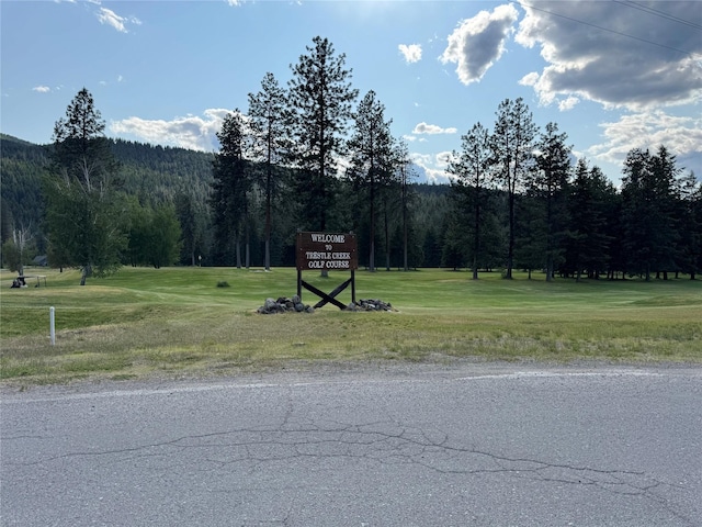 638 Trestle Creek Dr, Saint Regis, MT 59866 - view of home's community with a wooded view and a yard