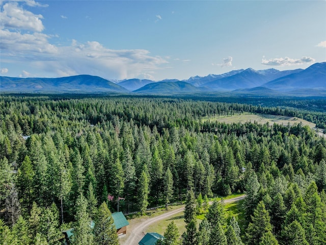 104 Swede Gulch Rd, Libby, MT 59923 - view of mountain background featuring a heavily wooded area