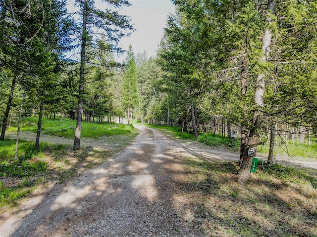 104 Swede Gulch Rd, Libby, MT 59923 - view of dirt / gravel road with a wooded view