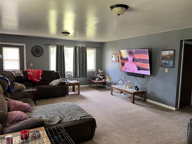 130 Sequist St, Simms, MT 59477 - living room with carpet flooring and baseboards