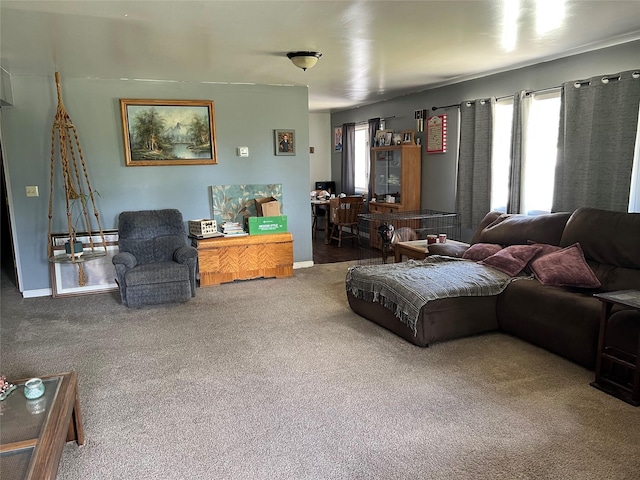 130 Sequist St, Simms, MT 59477 - living area with carpet flooring and baseboards