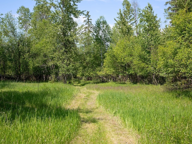 871 Conrad Dr, Kalispell, MT 59901 - view of tree filled area