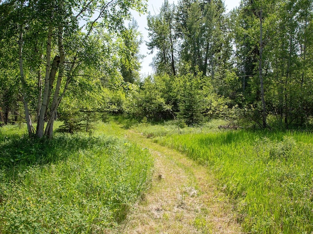 871 Conrad Dr, Kalispell, MT 59901 - view of local wilderness
