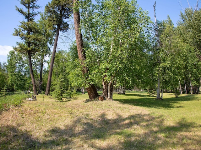 871 Conrad Dr, Kalispell, MT 59901 - view of green lawn