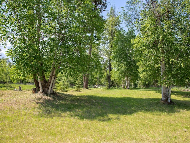 871 Conrad Dr, Kalispell, MT 59901 - view of green lawn