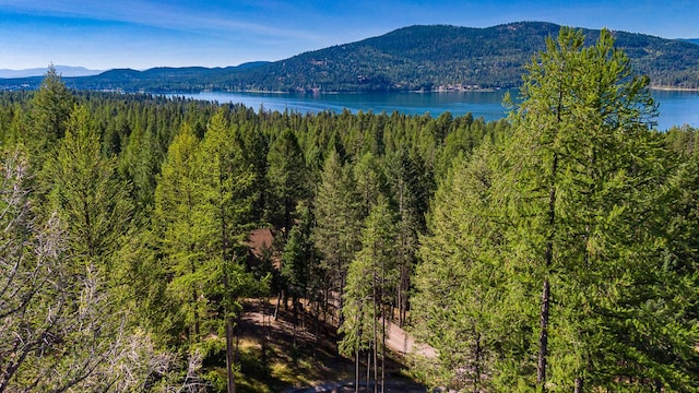 2475 E Lakeshore Dr, Whitefish, MT 59937 - view of mountain background with a nearby body of water and a heavily wooded area