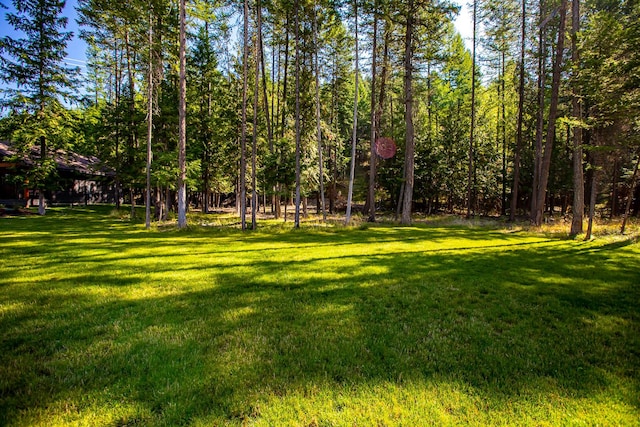 2475 E Lakeshore Dr, Whitefish, MT 59937 - view of grassy yard