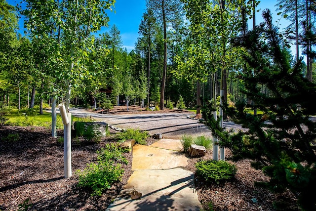 2475 E Lakeshore Dr, Whitefish, MT 59937 - view of surrounding community