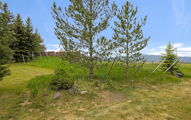 7580 Arroyo Ln, Missoula, MT 59808 - view of yard featuring a mountain view