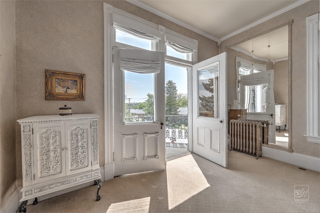 902 N Park Ave, Helena, MT 59601 - carpeted entrance foyer featuring radiator heating unit and ornamental molding