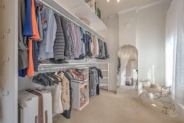 902 N Park Ave, Helena, MT 59601 - walk in closet featuring carpet floors and arched walkways