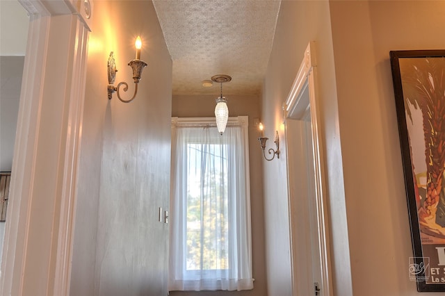 902 N Park Ave, Helena, MT 59601 - detailed view of a textured ceiling
