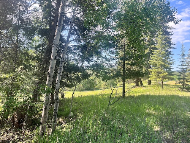 NHN Crystal Lakes Dr, Eureka, MT 59917