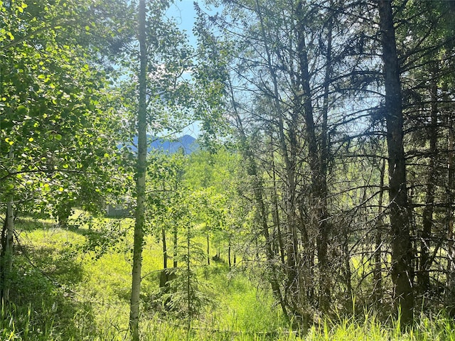 NHN Crystal Lakes Dr, Eureka, MT 59917