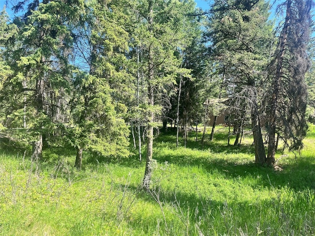 NHN Crystal Lakes Dr, Eureka, MT 59917
