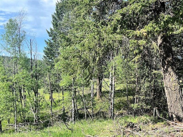 NHN Crystal Lakes Dr, Eureka, MT 59917