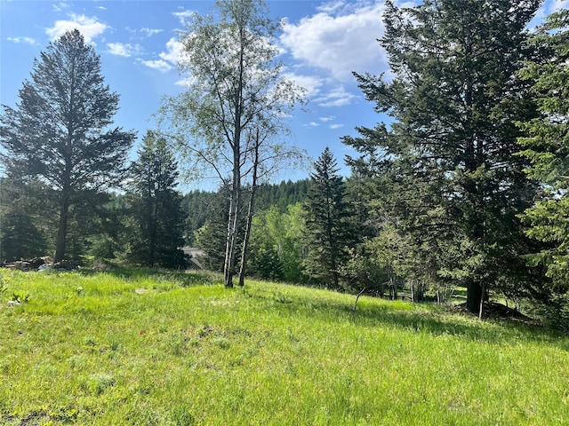 NHN Crystal Lakes Dr, Eureka, MT 59917
