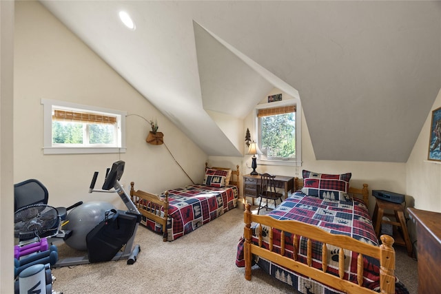 13471 Sundance Trl, Bigfork, MT 59911 - carpeted bedroom with vaulted ceiling