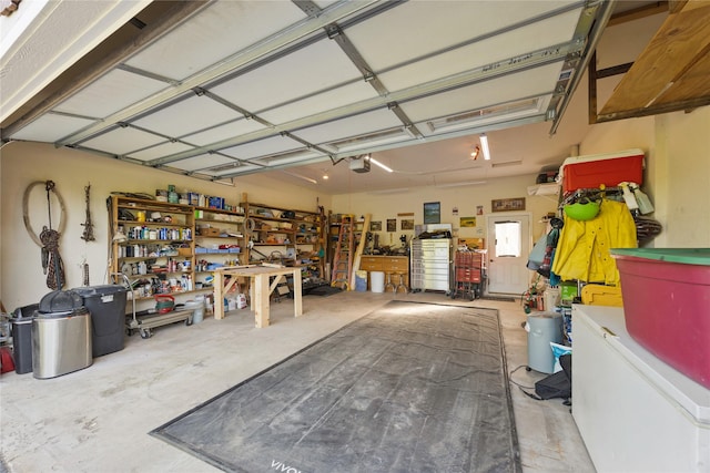 13471 Sundance Trl, Bigfork, MT 59911 - garage with a garage door opener and a workshop area