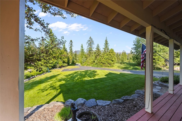 13471 Sundance Trl, Bigfork, MT 59911 - view of grassy yard