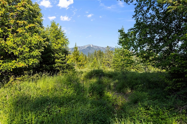13471 Sundance Trl, Bigfork, MT 59911 - view of mountain backdrop
