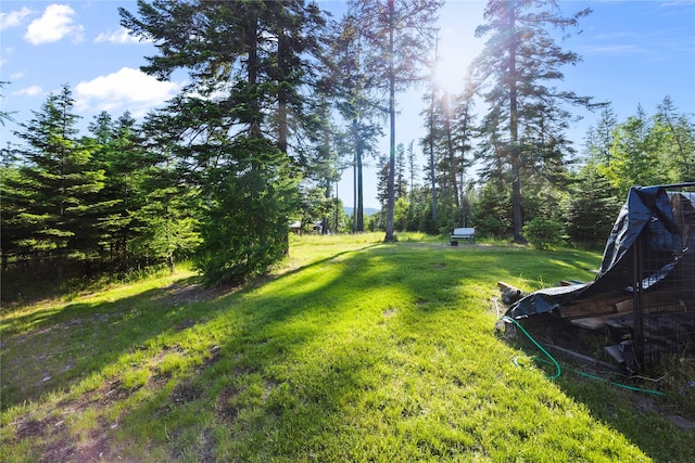 13471 Sundance Trl, Bigfork, MT 59911 - view of green lawn