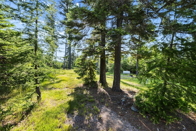 13471 Sundance Trl, Bigfork, MT 59911 - view of yard