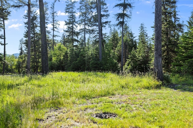 13471 Sundance Trl, Bigfork, MT 59911 - view of wooded area
