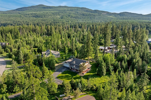 13471 Sundance Trl, Bigfork, MT 59911 - drone / aerial view of mountains