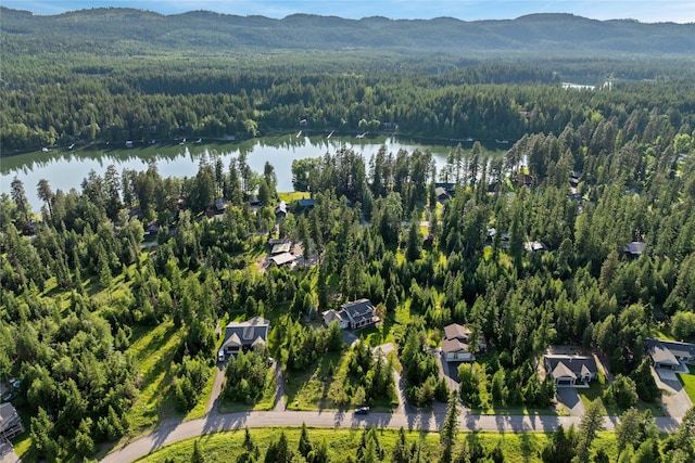 13471 Sundance Trl, Bigfork, MT 59911 - aerial overview of property's location with a forest and a nearby body of water