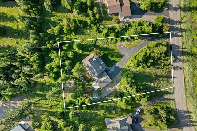 13471 Sundance Trl, Bigfork, MT 59911 - aerial view of property and surrounding area featuring property parcel outlined