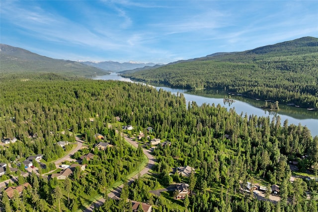 13471 Sundance Trl, Bigfork, MT 59911 - drone / aerial view of a forest and a water and mountain view