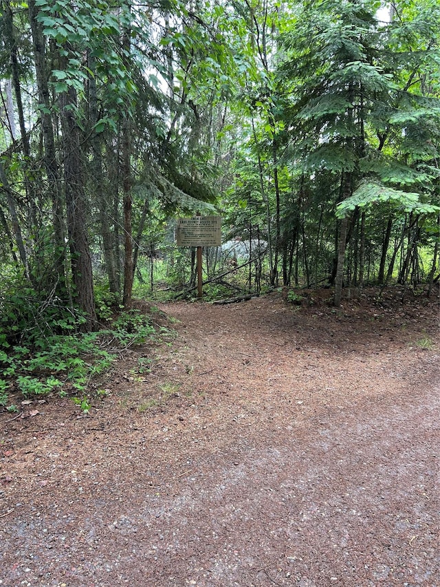13471 Sundance Trl, Bigfork, MT 59911 - view of woods