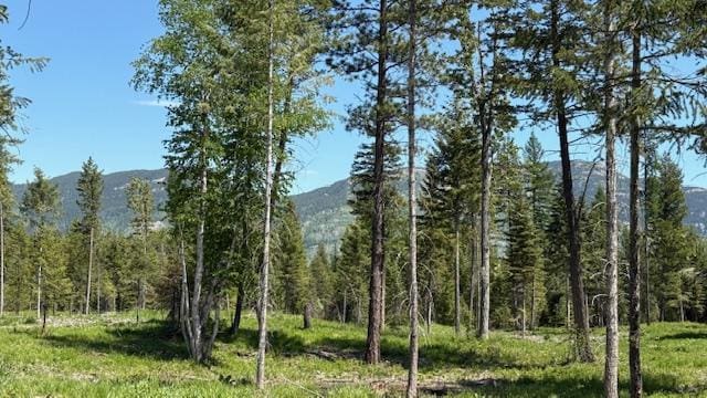 1068 Larch Ridge Trl, Columbia Falls, MT 59912