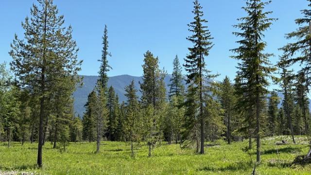 1068 Larch Ridge Trl, Columbia Falls, MT 59912