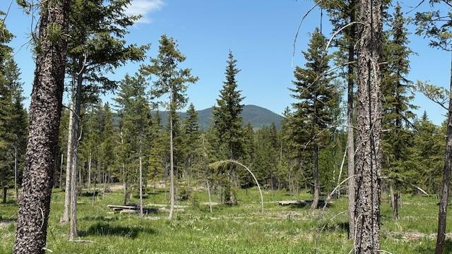 1068 Larch Ridge Trl, Columbia Falls, MT 59912