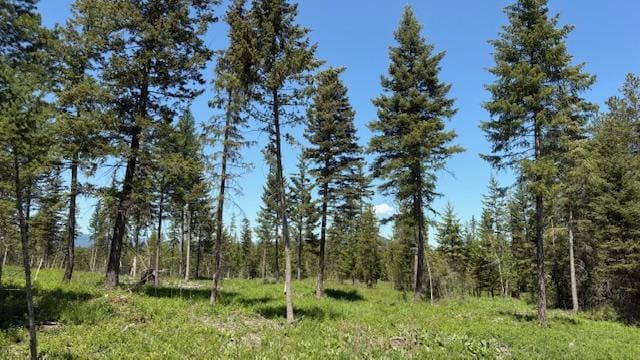 1068 Larch Ridge Trl, Columbia Falls, MT 59912