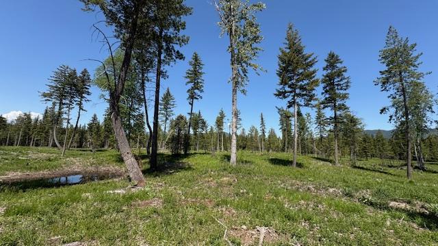 1068 Larch Ridge Trl, Columbia Falls, MT 59912