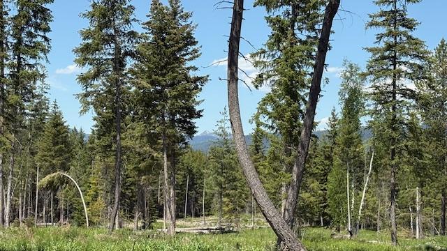 1068 Larch Ridge Trl, Columbia Falls, MT 59912