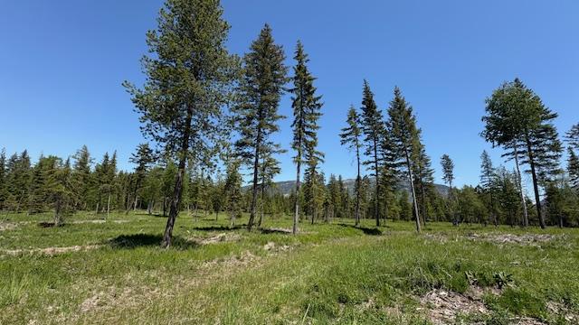 1068 Larch Ridge Trl, Columbia Falls, MT 59912