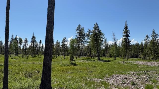 1068 Larch Ridge Trl, Columbia Falls, MT 59912
