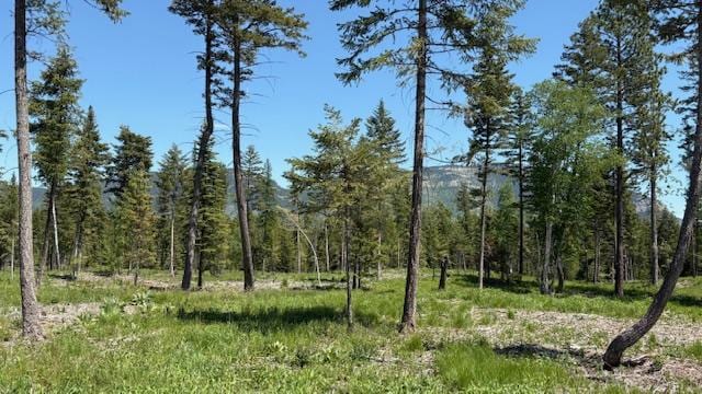 1068 Larch Ridge Trl, Columbia Falls, MT 59912