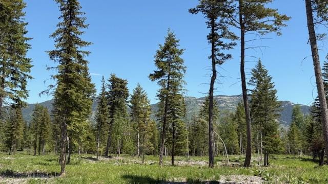 1068 Larch Ridge Trl, Columbia Falls, MT 59912