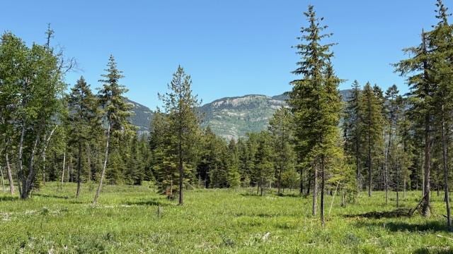 1068 Larch Ridge Trl, Columbia Falls, MT 59912