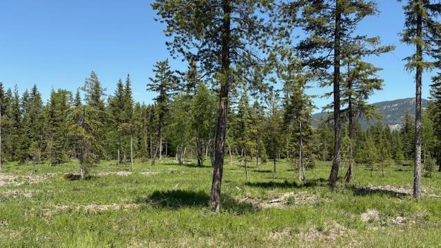 1068 Larch Ridge Trl, Columbia Falls, MT 59912