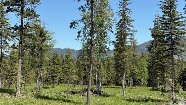 1068 Larch Ridge Trl, Columbia Falls, MT 59912