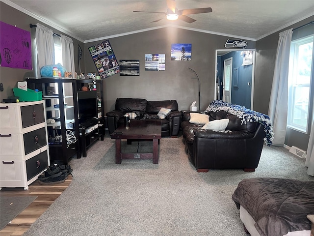 3000 Villard Ave Unit 12, Helena, MT 59601 - living room with crown molding, a ceiling fan, healthy amount of natural light, wood finished floors, and lofted ceiling