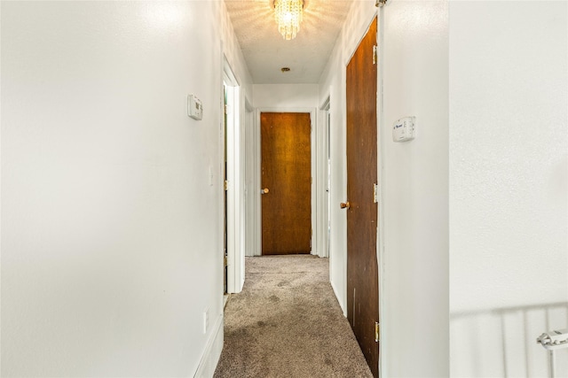 5900 Longview Dr, Missoula, MT 59803 - hallway featuring carpet flooring, radiator, and a textured ceiling