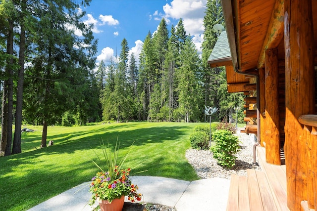 421 Swanson Lodge Rd, Troy, MT 59935 - view of green lawn